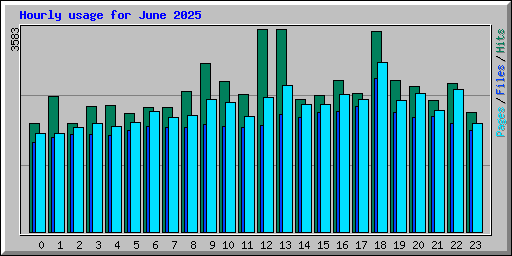 Hourly usage for June 2025