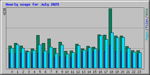Hourly usage for July 2025