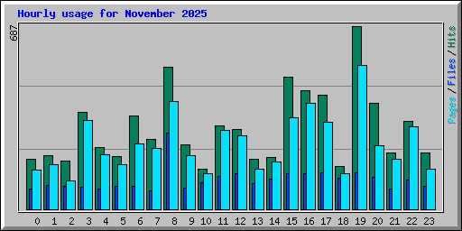Hourly usage for November 2025